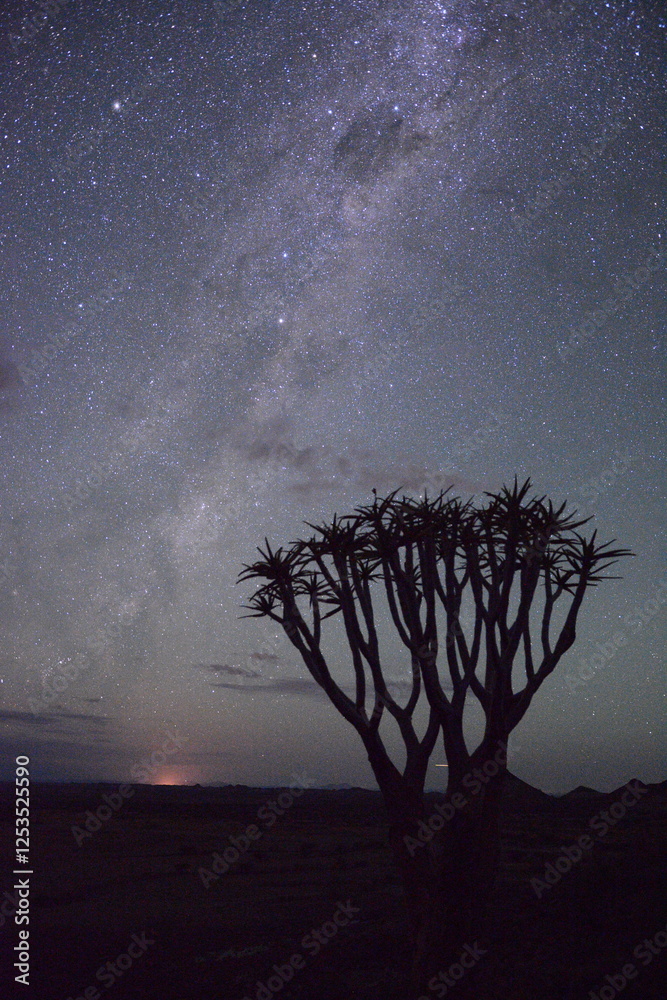 Droga Mleczna i egzotyczne drzewo kołczanowe w Namibii - astrofotografia