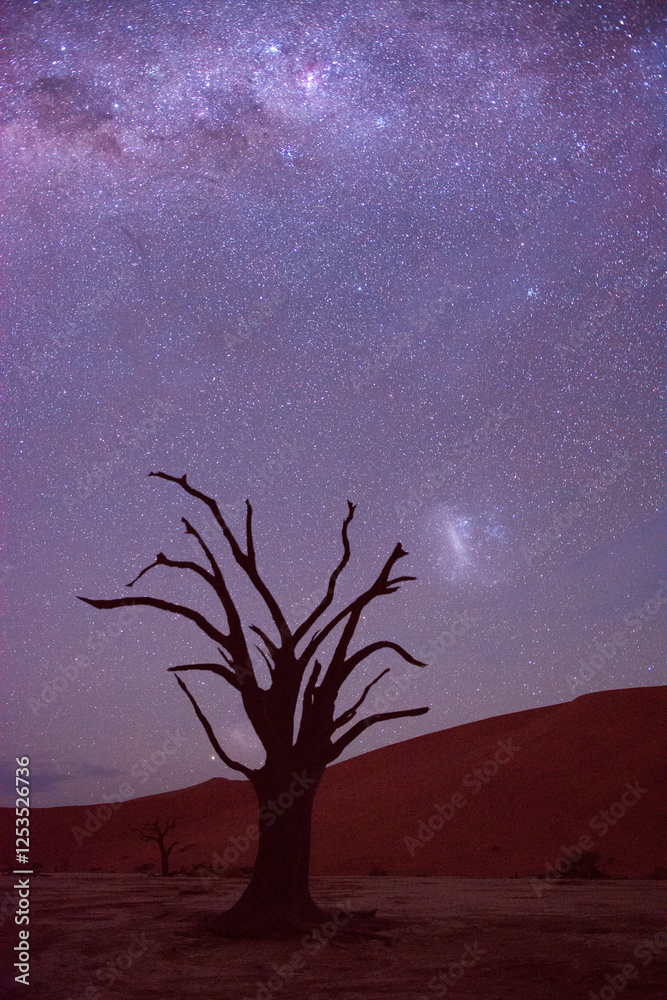Astrofotografia w Deadvlei w Namibii - nocne niebo południowej półkuli wraz z Drogą mleczną i obłokami Magellana