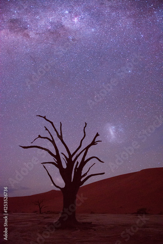 Astrofotografia w Deadvlei w Namibii - nocne niebo południowej półkuli wraz z Drogą mleczną i obłokami Magellana photo