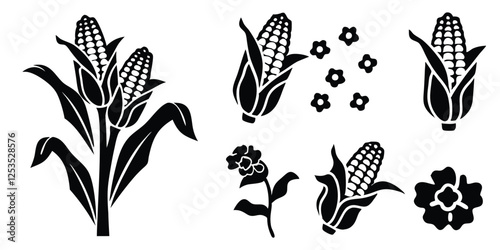 Modern Engraving Illustration Set of Maize Plant, Corn Cobs, and Popcorn Sketches
