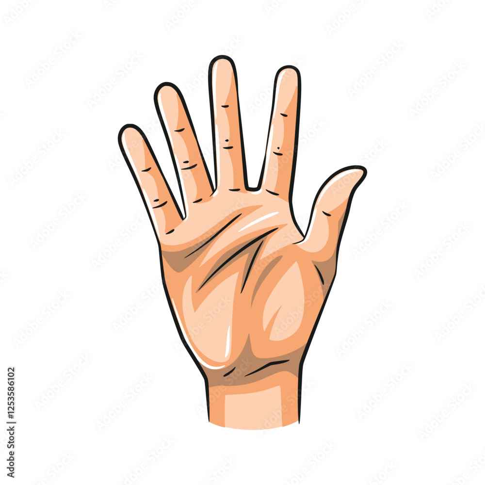 Vector Hand Gestures Showing Numbers 5. Isolated on White Background Vector Hand Gestures Showing Numbers 5. Isolated on White Background