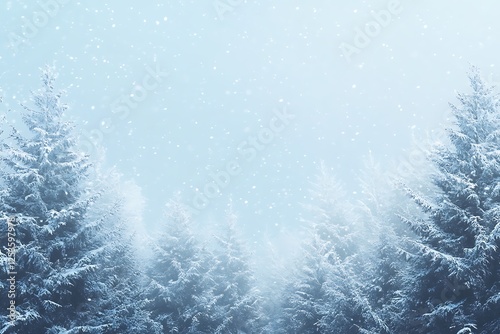 Snowy Christmas Trees Winter Wonderland Background