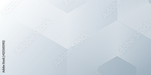 Abstract hexagon white and gray background. smooth abstract background blurred pattern design simple