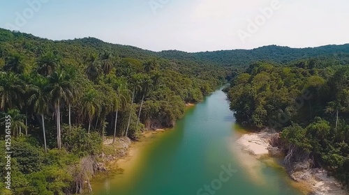 Lush tropical landscape with a winding river surrounded by dense greenery.