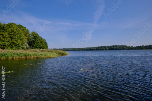 Obraz na płótnie Goldap Lake in summer hot day w salonie