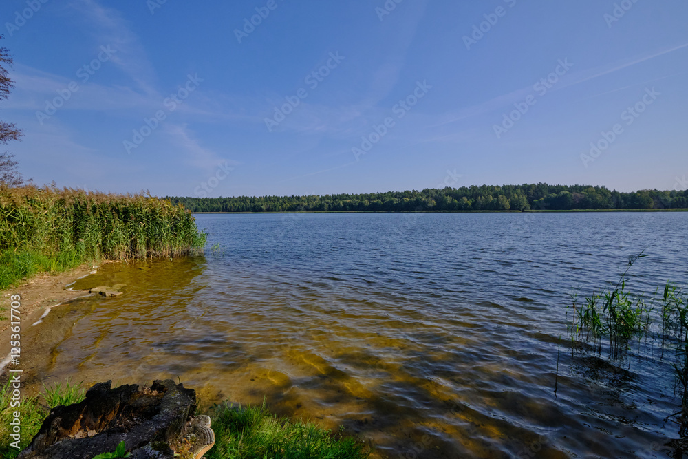 Goldap Lake in summer hot day