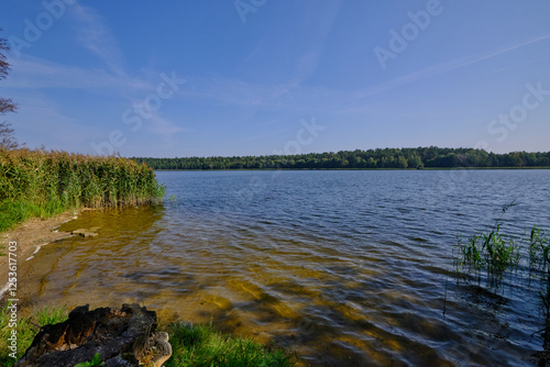 Obraz na płótnie Goldap Lake in summer hot day w salonie