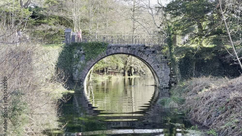 bridge over the river, Killarney National Park, Ireland bridge over the river, Killarney National Park, Ireland