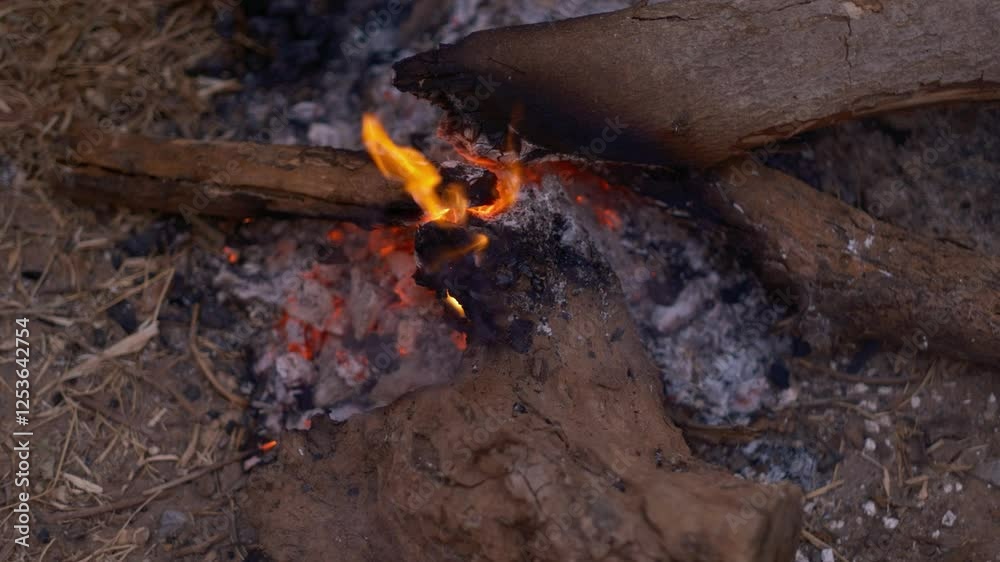 Close-up of glowing embers and burning wood in a fire pit. Close-up of glowing embers and burning wood in a fire pit.