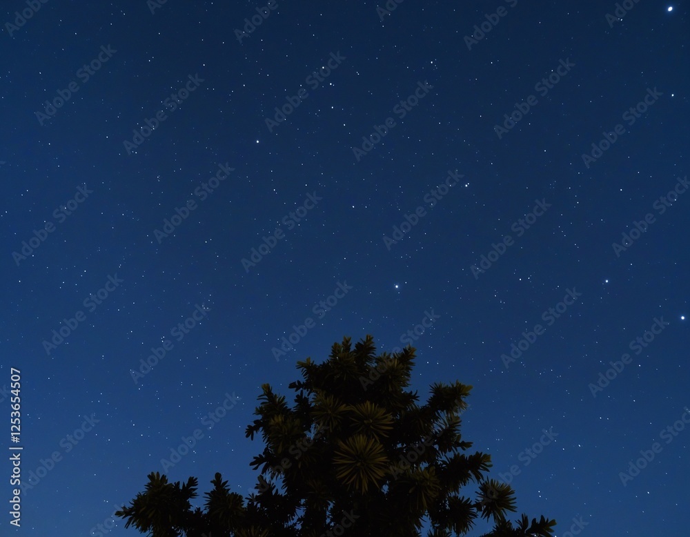 Naklejka premium A Serene Summer Night Under a Starry Sky with Crickets Chirping