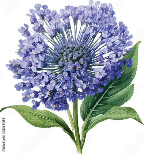 bouquet of blue flowers