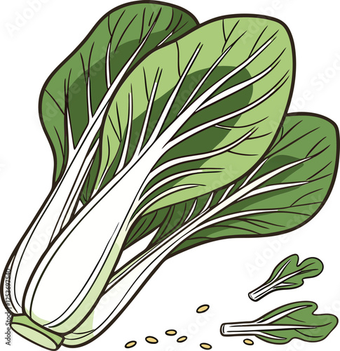 Bok choy cabbage vector illustration in cartoon flat style isolated on white background 