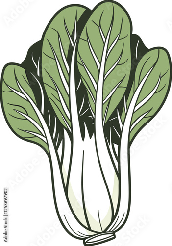 Bok choy cabbage vector illustration in cartoon flat style isolated on white background 