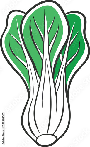 Bok choy cabbage vector illustration in cartoon flat style isolated on white background 