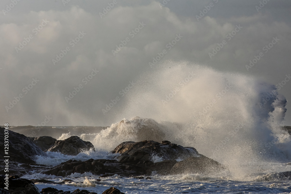 Northern potuguese stormy seascape Northern potuguese stormy seascape