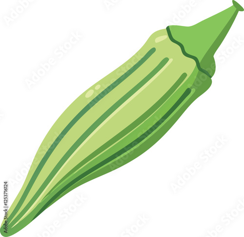 Okra vector art with a white background. Green Okra Vegetable Illustration Isolated on White Background