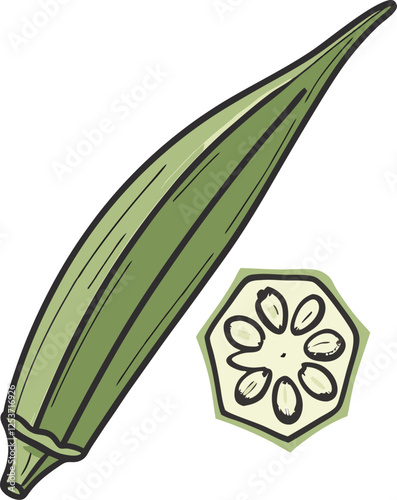 Okra vector art with a white background. Green Okra Vegetable Illustration Isolated on White Background