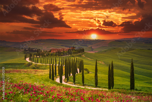 Obraz na płótnie Tuscany, Italy. Sunset with typical Tuscan landscape, rows of cypress trees in spring season, sunset colored nature. w salonie