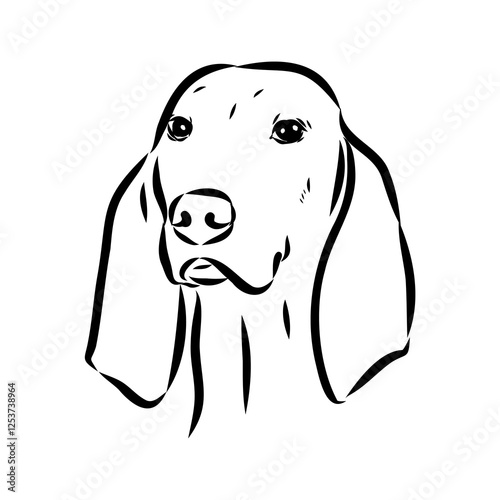 Porcelaine dog isolated on white background. Hand drawn dog breed vector sketch.