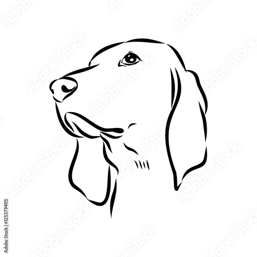 Porcelaine dog isolated on white background. Hand drawn dog breed vector sketch.