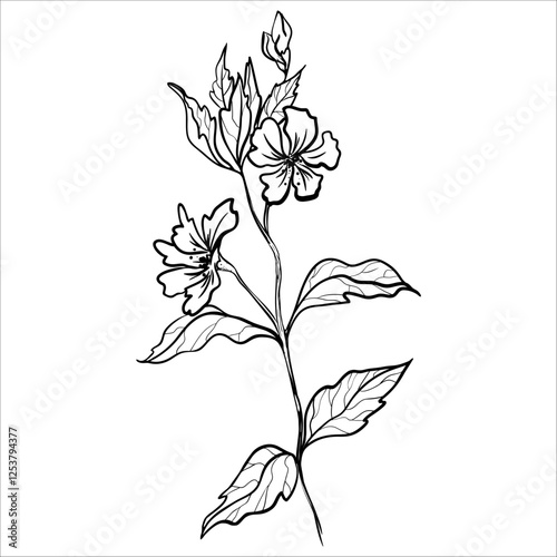Minimalistic Hand Drawn Monochrome Flower Branch
