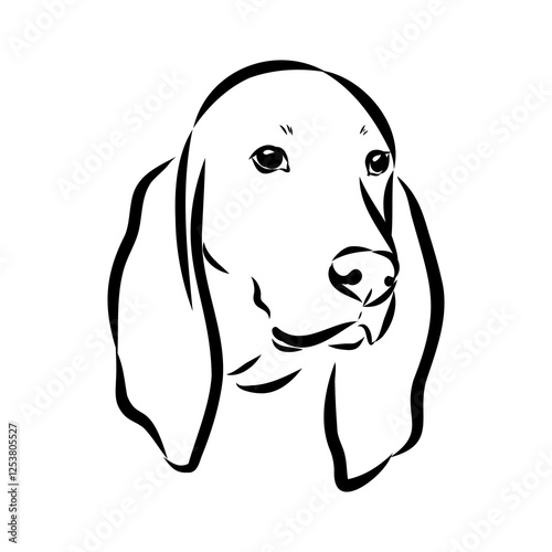 Porcelaine dog isolated on white background. Hand drawn dog breed vector sketch.