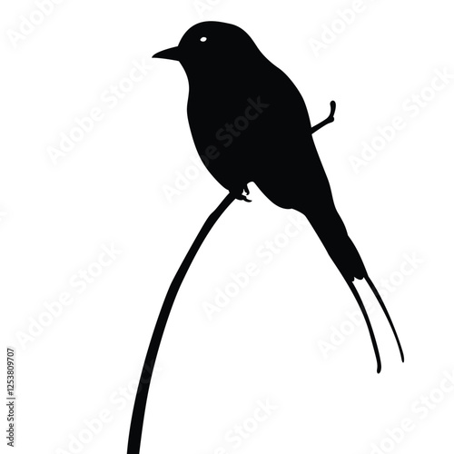 birds silhouette