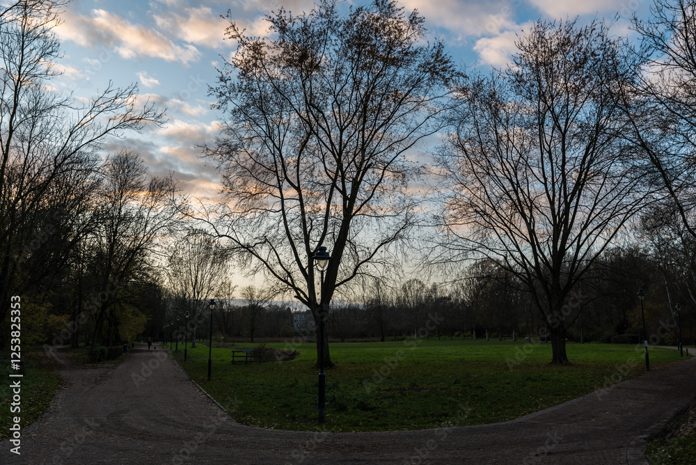 Autumn trees reflecting in a water pond at dusk in a city park, Brussels, Belgium Autumn trees reflecting in a water pond at dusk in a city park, Brussels, Belgium