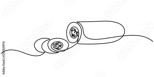 cucumber raw whole vegetable continuous one line drawing, Single continuous line drawing whole and sliced healthy organic cucumber for orchard logo identity. Fresh vegetable concept for vegan garden. 