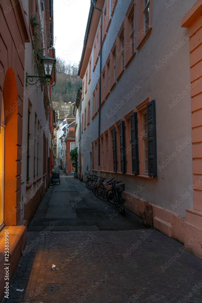 Fototapeta premium Heidelberg: Romantic city on the Neckar River, famous for its castle, historic old town, Germany’s oldest university, and picturesque scenery between the Neckar Valley and the Odenwald Forest