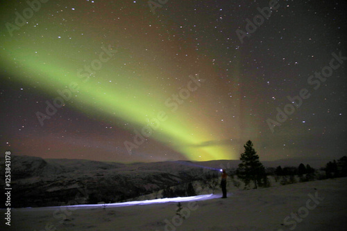 Man with torch under the northern lights from Gapherus (Nordreisa). Northern Norway.
