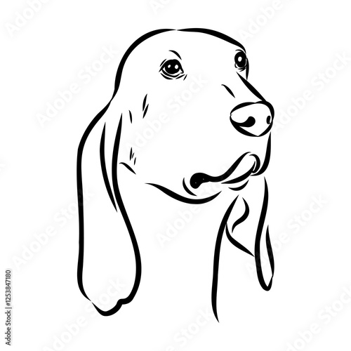 Porcelaine dog isolated on white background. Hand drawn dog breed vector sketch.