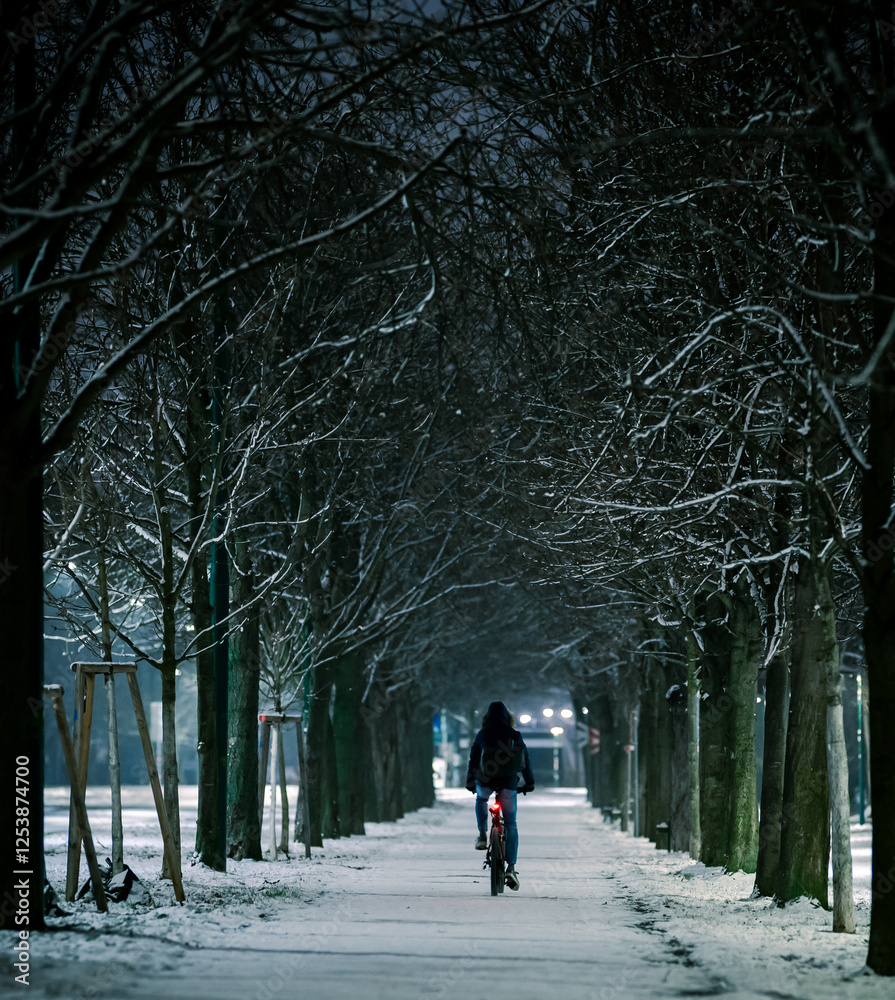bicycle in the night in winter bicycle in the night in winter