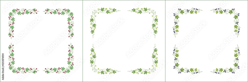 Set of three elegant green vegetal ornamental frame with figs, decorative border. Isolated vector illustration Set of three elegant green vegetal ornamental frame with figs, decorative border. Isolated vector illustration