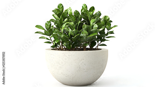 A potted plant sits in a white ceramic bowl