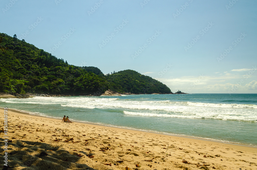 Obraz premium beach and sea