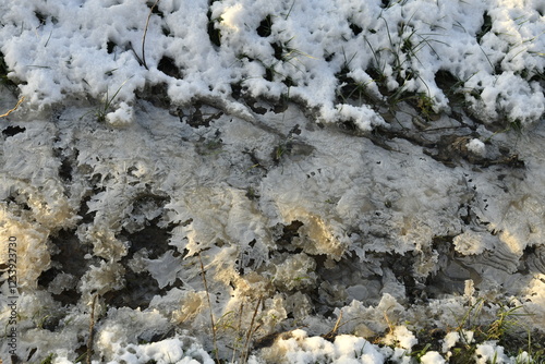 Φωτογραφία Effet de fonte des neiges et regel dans l'un des champs à Écaussinnes d'Enghien