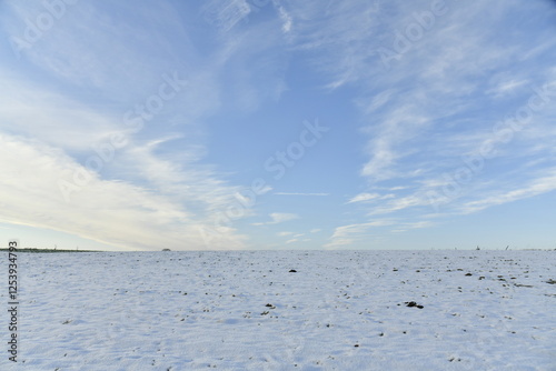 Bild auf Leinwand Champ enneigé sous un ciel de cirrus à Écaussinnes-d'Enghien (Hainaut)