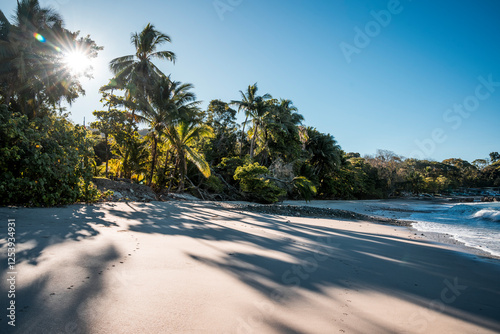 Fototapeta Naklejka Na Ścianę i Meble -  tropical beach with palm trees
