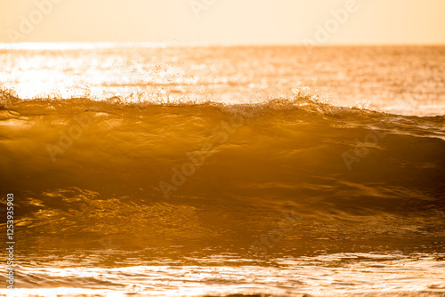 Fototapeta Naklejka Na Ścianę i Meble -  beautiful wave during sunset golden hour orange pretty ocean sea 