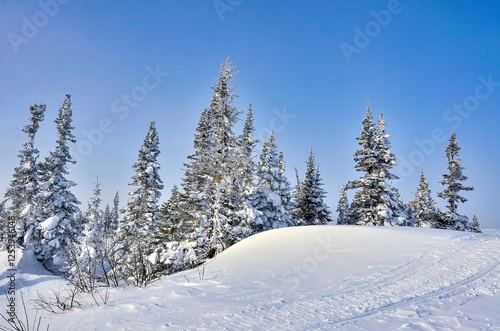 Winter landscape in mountains in frost sunny weather.