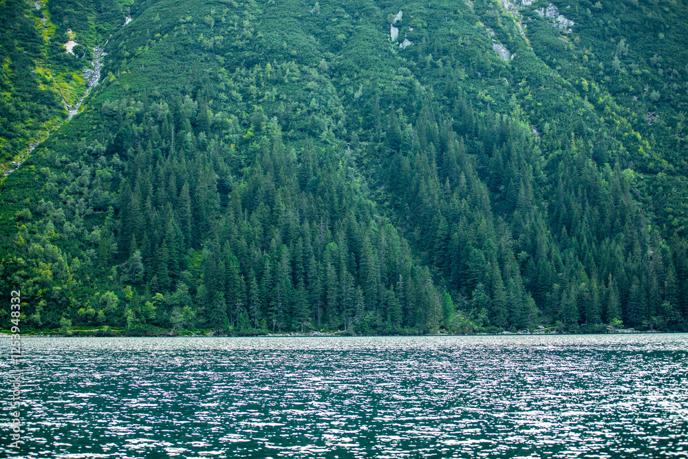 Landscape view of shore covered by fur trees in Morske Oko lake in Poland