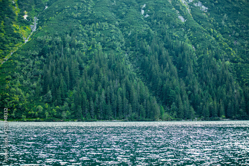 Obraz na płótnie Landscape view of shore covered by fur trees in Morske Oko lake in Poland w salonie