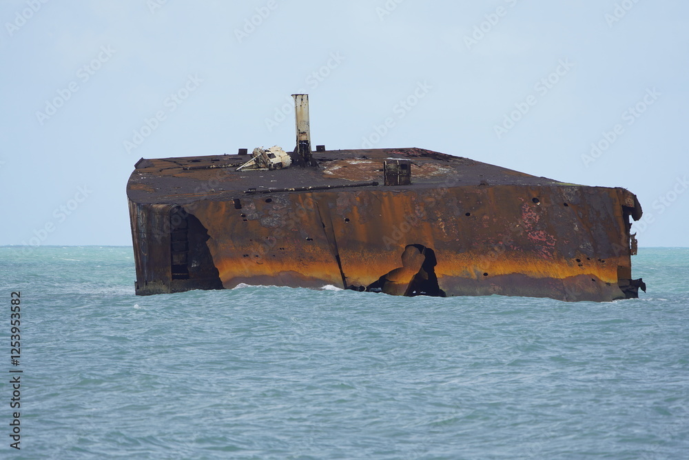 Fototapeta premium The shipwreck Mara Hope, an oil tanker, in the green ocean near Fortaleza Ceará, Brazil.