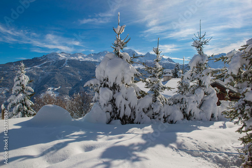 view of snowy alpine mountain range with firscovered with fresh snow in the tarentaise valley in France photo