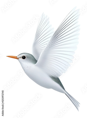 White bird soaring against blue sky