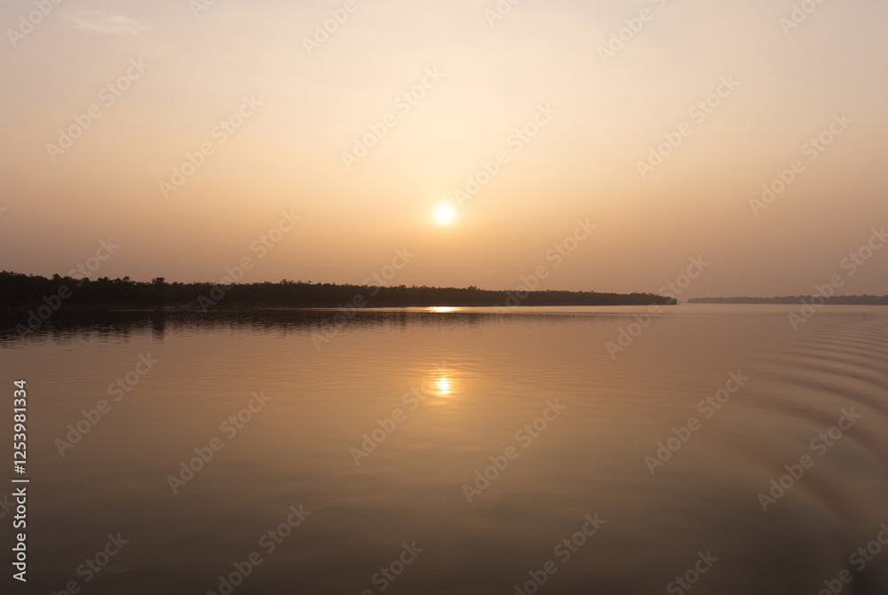 Naklejka premium Mangrove forest island at Sundarban tiger reserve during sunset, India