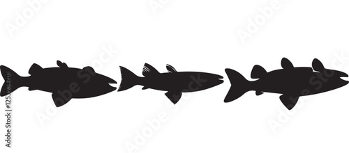 Black silhouette Brook Trout of fish, Animal Icons, Fish Bundle, Sea life, Under the Ocean