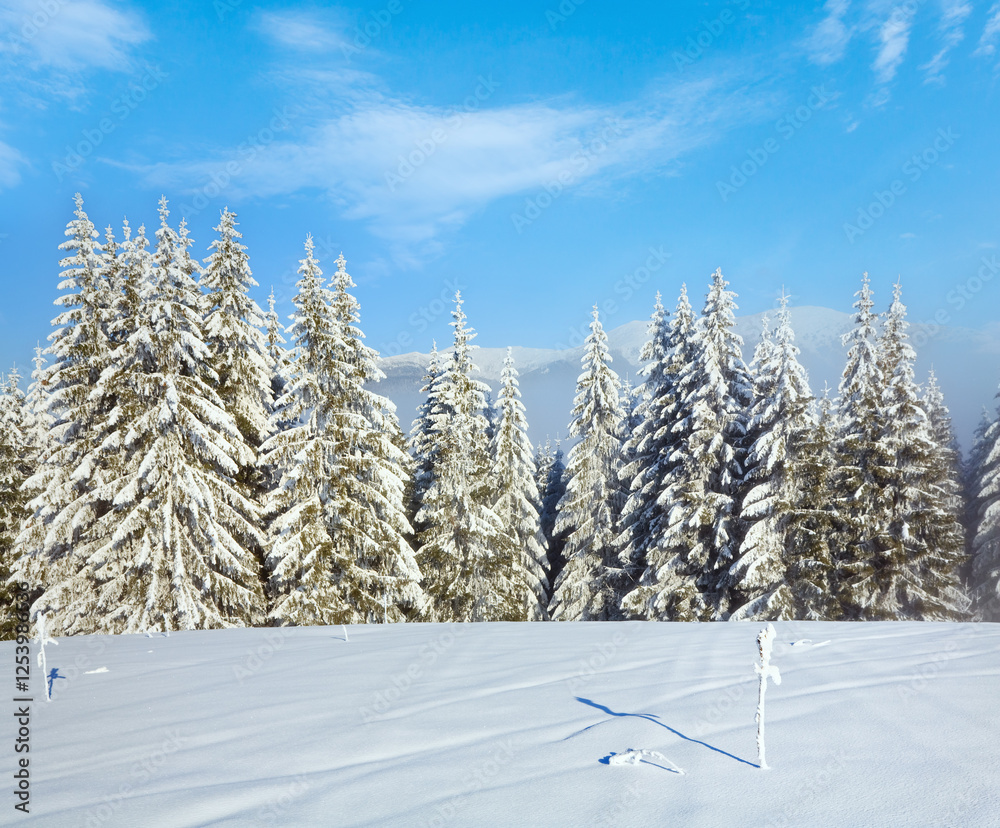 Winter hazy calm mountain landscape and Bukovel ski resort, Ukraine.