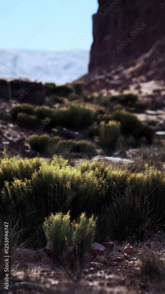 A large rock formation stands prominently in the arid landscape of the Nevada desert under the scorching sun. A large rock formation stands prominently in the arid landscape of the Nevada desert under the scorching sun.